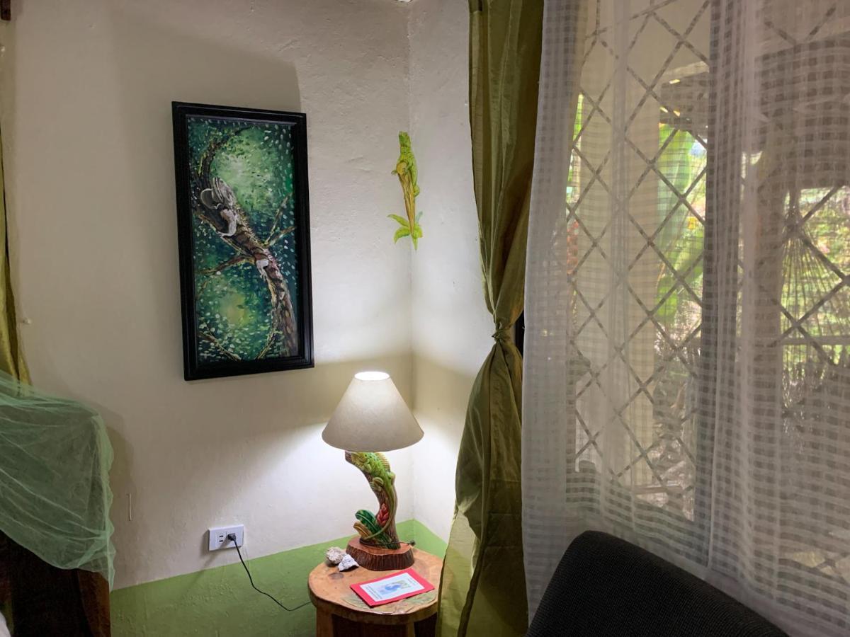 Cabinas Tito Кауита Экстерьер фото