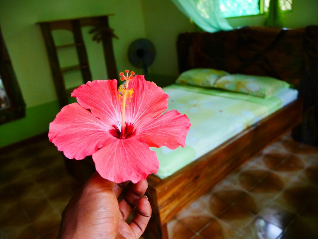 Cabinas Tito Кауита Экстерьер фото